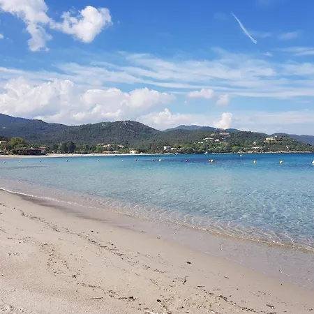 Apartment In Pinarellu Near Famous Beach, Cleaning Included * Vardiola