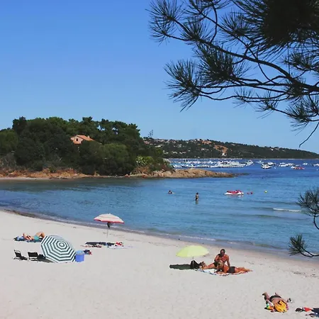 Apartment In Pinarellu Near Famous Beach, Cleaning Included Apartment *